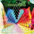 ANNOTATION "S/T" 7"