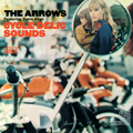 DAVID ALLAN & THE ARROWS "CYCLE-DELIC SOUNDS" LP *READ FIRST