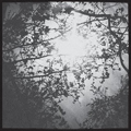 NO FUNERAL "6 SONG EP" 12" <b>READ FIRST</B>