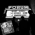 NIGHT BIRDS "THE OTHER SIDE OF DARKNESS LP w/ FRESH KILLS CD