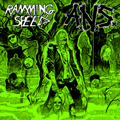 ANS / RAMMING SPEED - SPLIT 12" <b>READ FIRST</B>