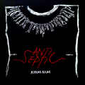 ANTISEPTIC / THE SEXUAL - SPLIT LP <b>READ FIRST</B>