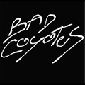 BAD COYOTES "S/T" 7"