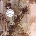 BIRTH CONTROL - "GOING TO TARGET" 7"