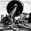 DAILY VOID "IDENTIFICATION CODE 5271 4984" LP <b>READ FIRST</B>