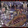 DESTRUCTIONS END / BANDANOS - SPLIT LP *READ FIRST
