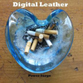 DIGITAL LEATHER - "POWER SURGE" 7"