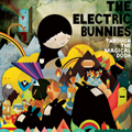 ELECTRIC BUNNIES "THROUGH THE MAGICAL DOOR" LP *READ FIRST