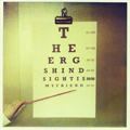 ERGS, THE - "HINDSIGHT IS 20/20, MY FRIEND" CD