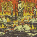 GET A GRIP / HAMMER HEAD - SPLIT CD