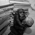 GOD EQUALS GENOCIDE "RATTLED MINDS" LP <b>READ FIRST</B>
