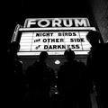 NIGHT BIRDS "THE OTHER SIDE OF DARKNESS" LP *READ FIRST