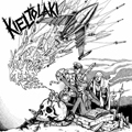 KIELTOLAKI "COLLECTION" LP <b>READ FIRST</B>