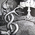 LOTUS FUCKER / PENIS GEYSER - SPLIT 7"