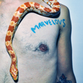 MARVELOUS DARLINGS "SINGLE LIFE" LP <b>READ FIRST</B>