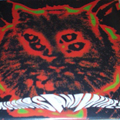 MIRRORS AND WIRES - "COLOURIZED AUDIO TRANSMISSIONS" 7"