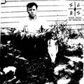 SLOBS "LOOK BUSY DO NOTHING" 7"