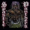 SPASTIC PANTHERS / THROWAWAYS - SPLIT 7"