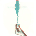 STATUES - "TERMINAL BEDROOM" CD