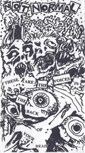 V/A THESE ARE THE VOICES IN THE BACK OF YOUR HEAD VOL.1 TAPE